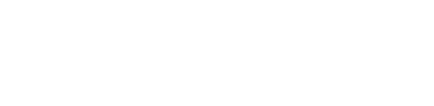 Text Box: LS Zane Grey +// is a grey stallion with a heterozygous chestnut gene.  Zane's offspring have consistently boasted large bones and feet. Zane is a Sweepstakes Nominated stallion.
